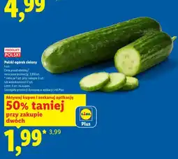 Lidl Ogórek zielony polski oferta