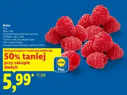 Lidl Maliny oferta