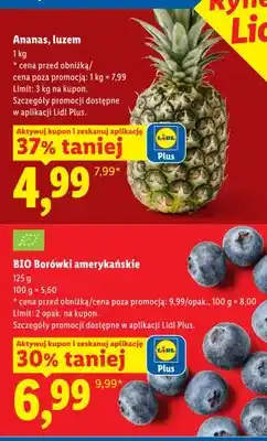Lidl BIO Borówki amerykańskie oferta