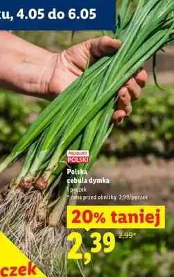 Lidl Cebula dymka polska oferta