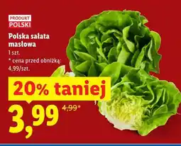 Lidl Sałata masłowa polska oferta