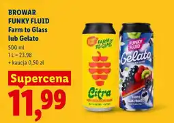 Lidl Piwo Funky Fluid Gelato oferta