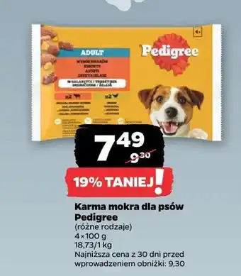 Netto Karma mokra dla psów Pedigree oferta