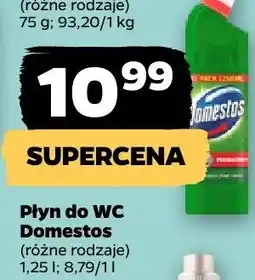 Netto Płyn do WC Domestos oferta