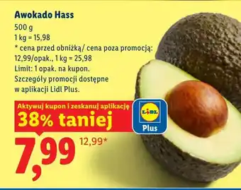 Lidl Awokado Hass oferta