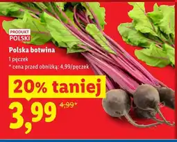 Lidl Botwina polska oferta