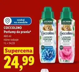 Lidl Perfumy do prania Coccolino Laundry Perfume oferta
