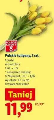 Lidl Polskie tulipany 7szt oferta