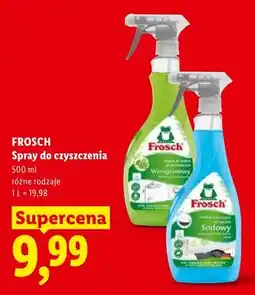 Lidl Spray do czyszczenia Frosch oferta