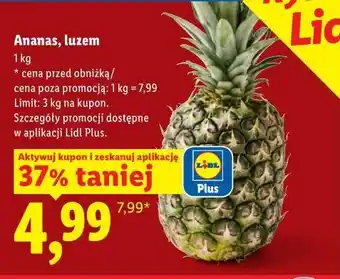 Lidl Ananas, luzem oferta