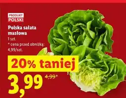 Lidl Polska sałata masłowa oferta