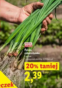Lidl Polska cebula dymka oferta