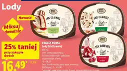 Lidl Lody Jak Dawniej BRACIA KORAL oferta