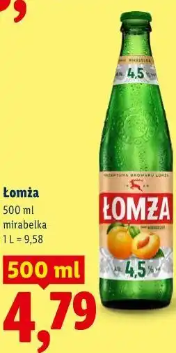 Lidl Łomża oferta