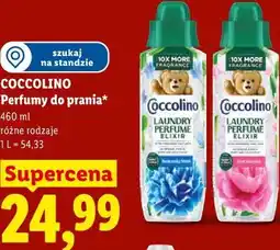 Lidl Perfumy do prania* COCCOLINO oferta