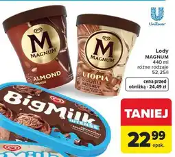 Carrefour Market Lody MAGNUM oferta