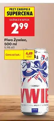 Biedronka Piwo Żywiec oferta