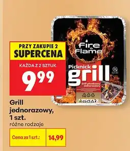 Biedronka Grill jednorazowy Fire & Flame oferta