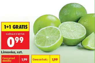 Biedronka Limonka, szt oferta