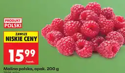 Biedronka Malina polska, opak oferta