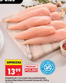 Biedronka Polędwiczki z kurczaka bez antybiotyków Kraina Mięs Select Kurczak farmerski oferta