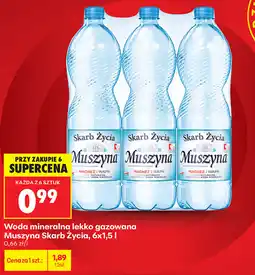 Biedronka Woda mineralna lekko gazowana Muszyna Skarb Życia oferta