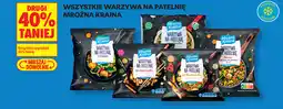 Biedronka Wszystkie warzywa na patelnię Mroźna Kraina oferta