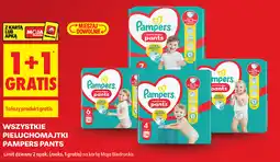 Biedronka WSZYSTKIE PIELUCHOMAJTKI PAMPERS PANTS oferta