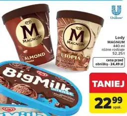 Carrefour Lody MAGNUM oferta