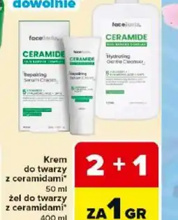 Carrefour Market Face Facts Ceramide oferta