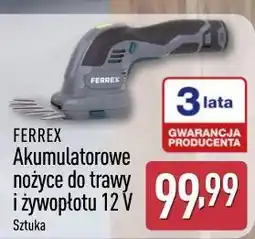 ALDI Akumulatorowe nożyce do trawy i żywopłotu 12 V FERREX oferta