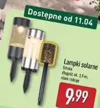 ALDI Lampki solarne oferta