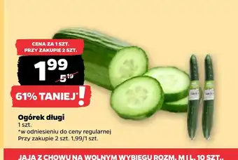 Netto Ogórek oferta