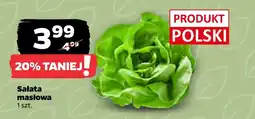 Netto Sałata masłowa Polski oferta