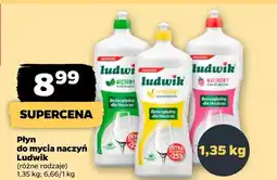 Netto Płyn do naczyń Ludwik oferta