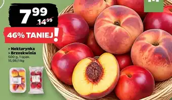 Netto Nektarynki oferta