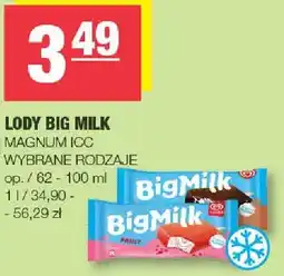 Spar Lody Big Milk Magnum ICC wybrane rodzaje oferta