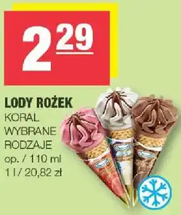 Spar Lody rożek Koral wybrane rodzaje oferta