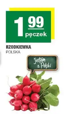 Spar Rzodkiewka oferta