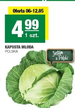 Spar Kapusta młoda polska oferta