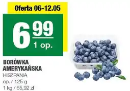 Spar Borówka amerykańska oferta