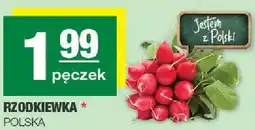 Spar Rzodkiewka polska oferta