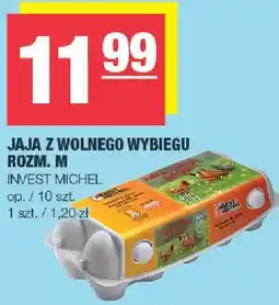 Spar Jaja z wolnego wybiegu rozm. M Invest Michel oferta