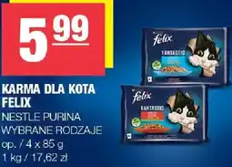 Spar Karma dla Kota Felix Nestle Purina oferta