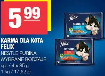 Karma dla Kota Felix Nestle Purina