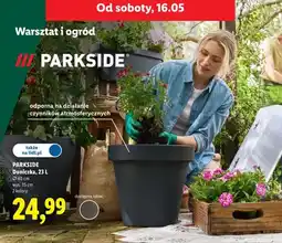 Lidl Doniczka Parkside oferta