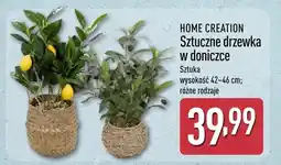 ALDI Sztuczne drzewka w doniczce Home Creation oferta