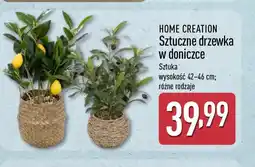 ALDI Home Creation Sztuczne drzewka w doniczce oferta