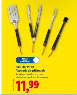 Lidl Akcesoria do grilla Grillmeister oferta