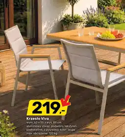 Bricomarche Krzesło Viva oferta